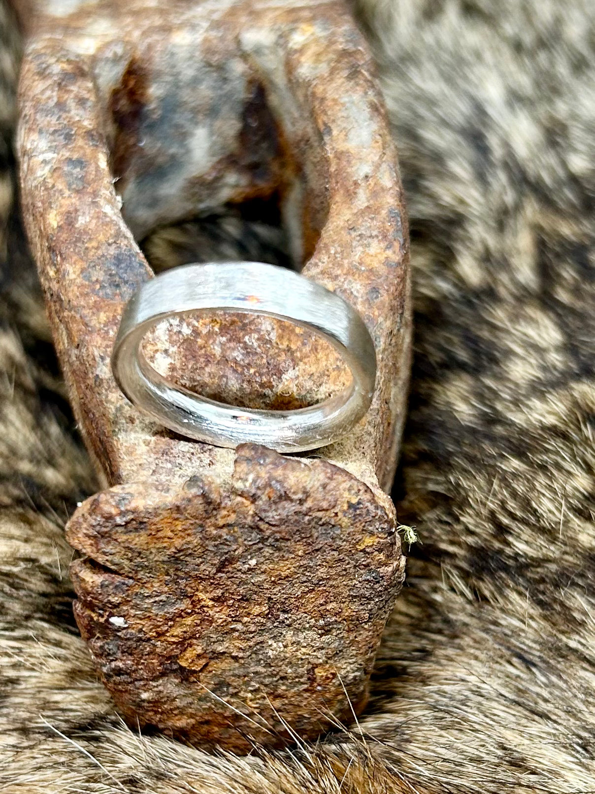 Brushed Silver Ring